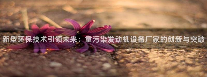 信誉辉达娱乐：新型环保技术引领未来：重污染发动机设备厂家的创