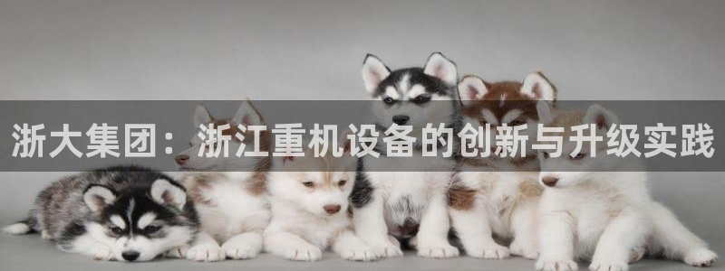 辉达娱乐线路检测：浙大集团：浙江重机设备的创新与升级实践