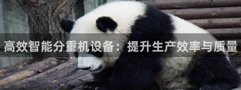 辉达娱乐彳75775：高效智能分重机设备：提升生产效率与质量