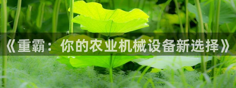 辉达娱乐加扣75775