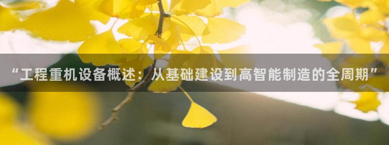 辉达娱乐最新版本更新内容