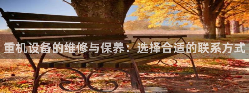辉达怎么样