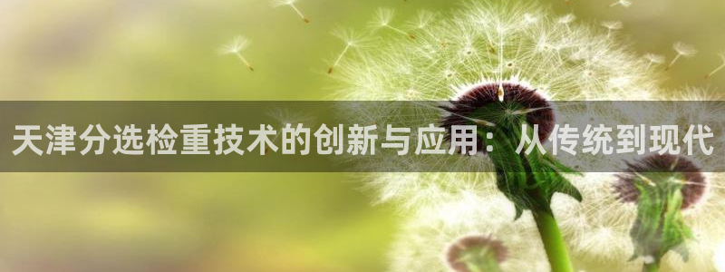 信誉辉达娱乐开户注册：天津分选检重技术的创新与应用：从传统到