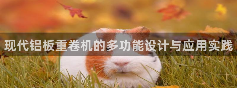 辉达娱乐开户注册