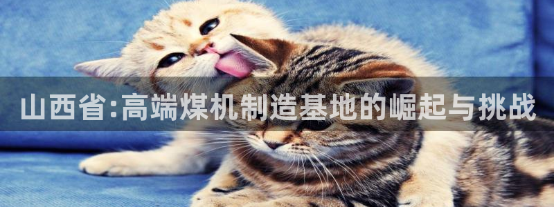 辉达娱乐加q75775