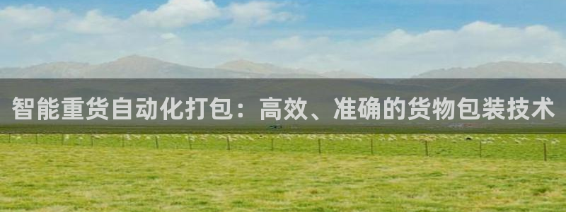 辉达娱乐珈75775：智能重货自动化打包：高效、准确的货物包