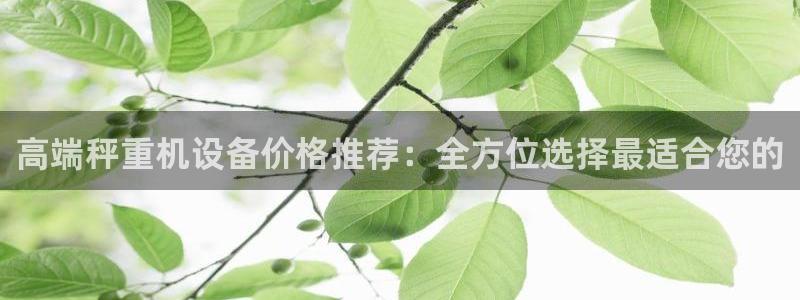 辉达娱乐时时彩