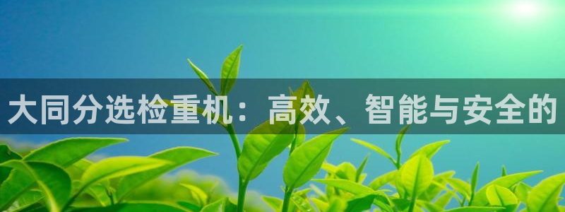 辉达娱乐开户注册