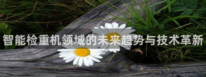 辉达娱乐正规吗