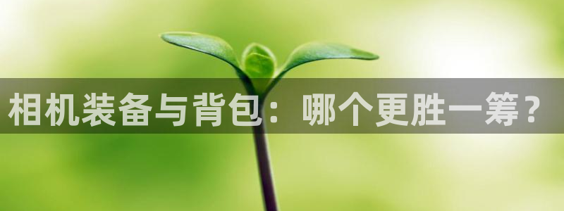 龙腾辉达电子娱乐