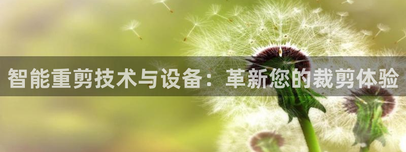 正规辉达娱乐在线游戏